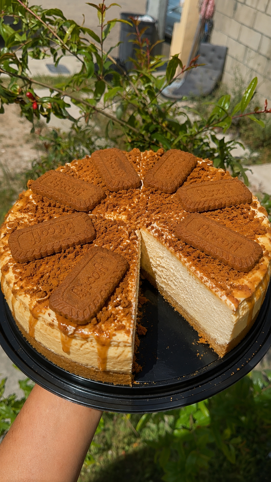 Rebanada de chescake Lotus