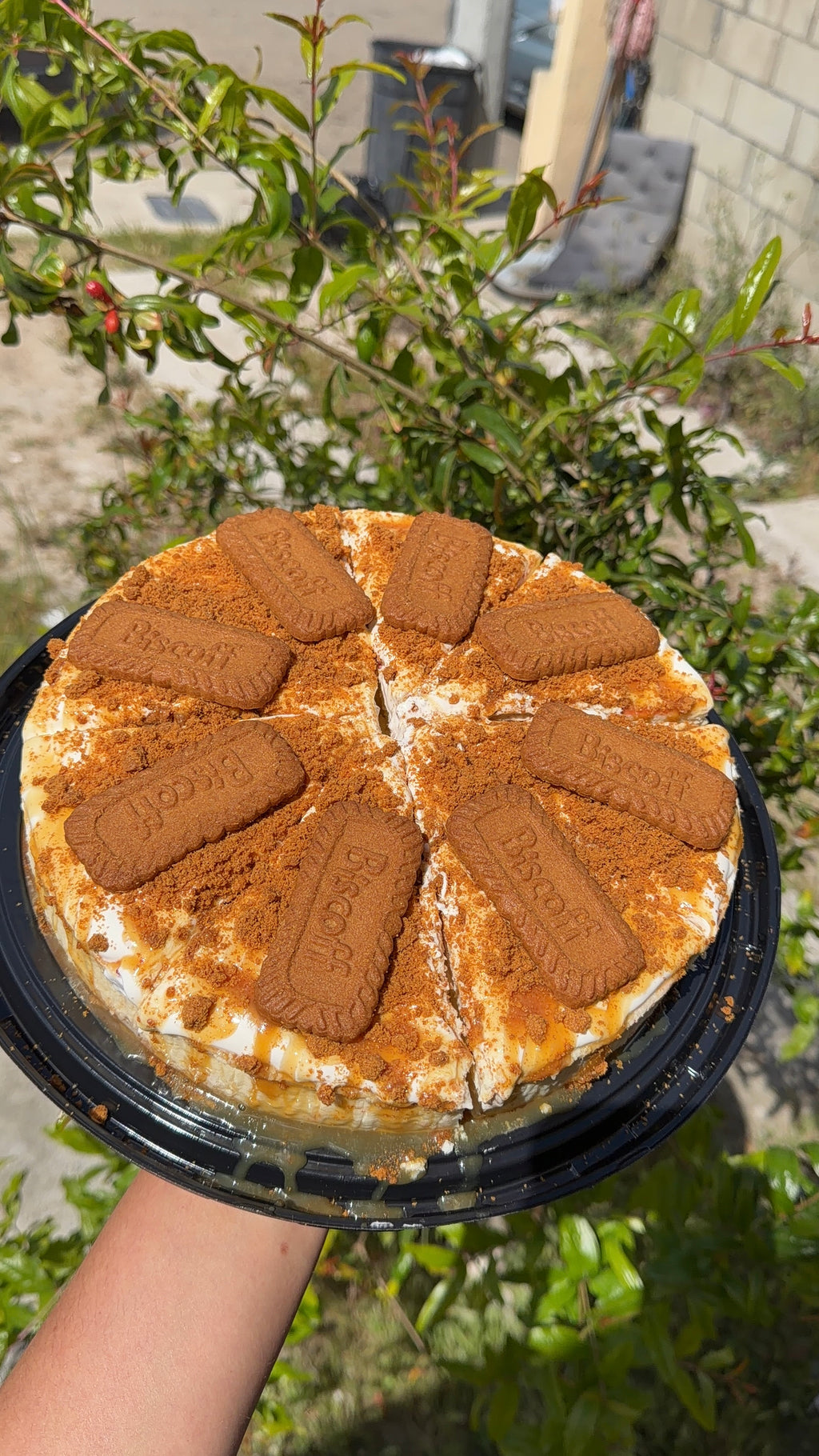 Chescake completo de Lotus