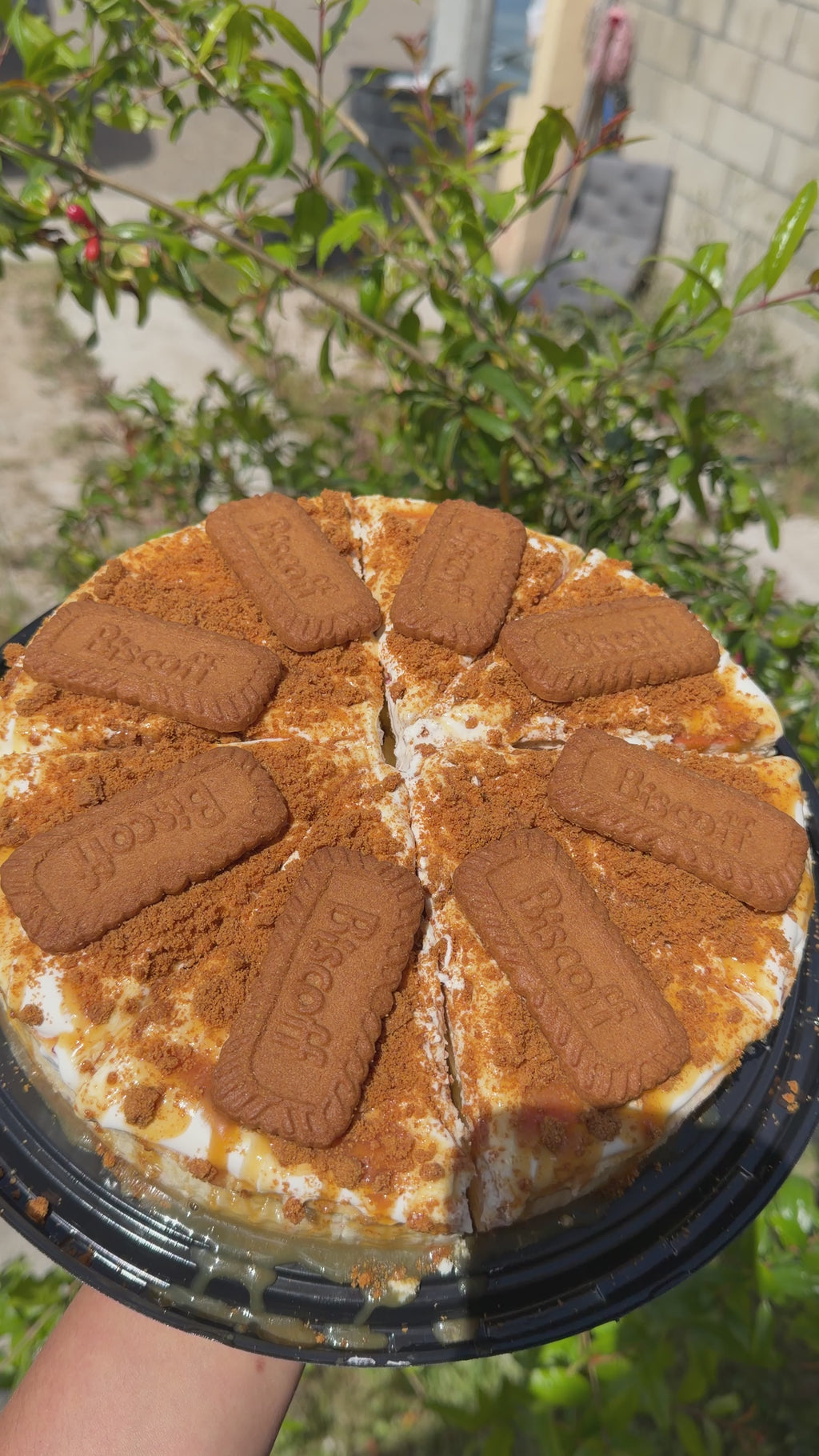Chescake completo de Lotus