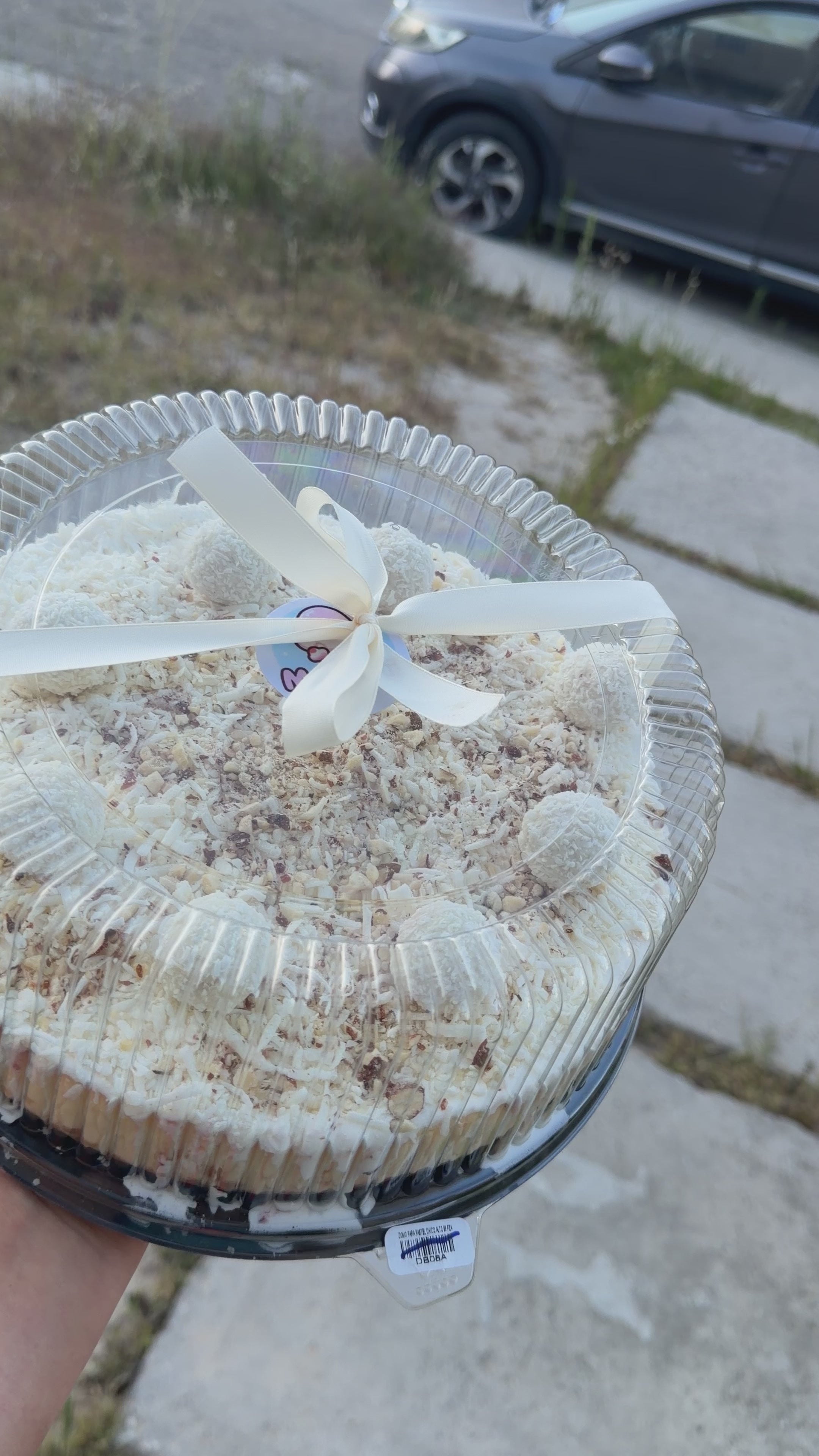 Chescake completo de rafaello